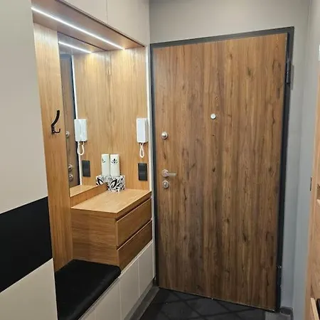 Przy Loftach U Scheiblera Parking Podziemny, śniadaniownia Apartament