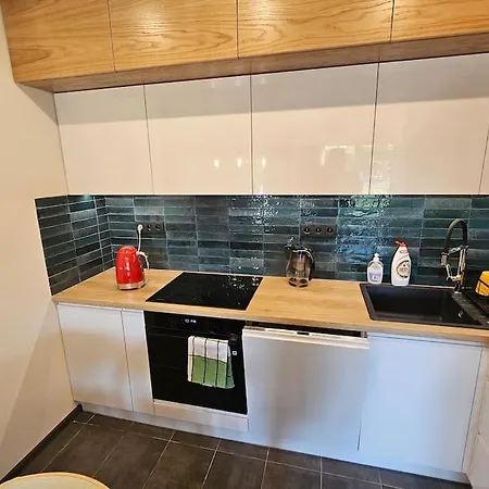 Apartament Przy Loftach U Scheiblera Parking Podziemny, śniadaniownia Łódź