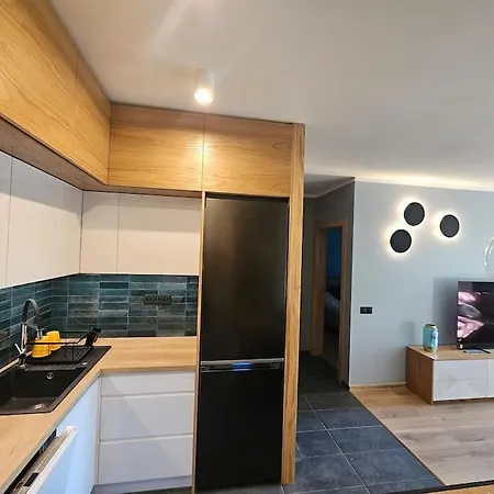 Apartment Przy Loftach U Scheiblera Parking Podziemny, Sniadaniownia *